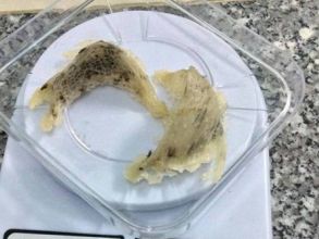 Khi nào nên dùng tổ yến để tẩm bổ?